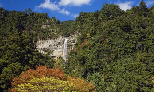 Nachi Waterfall