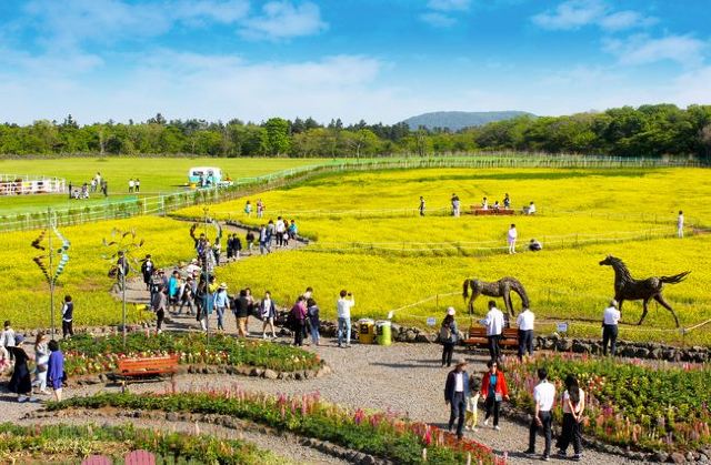 Eco Land Theme Park