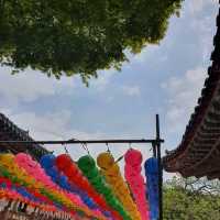 겹벚꽃과 청벚꽃 명소, 개심사