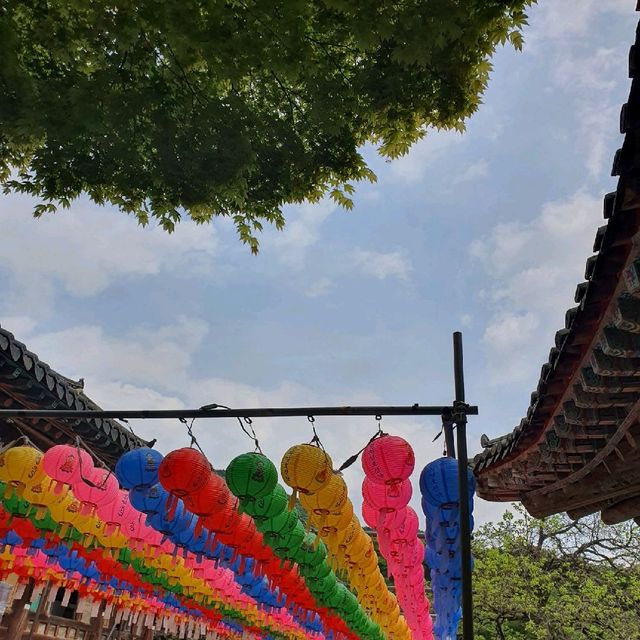 겹벚꽃과 청벚꽃 명소, 개심사