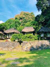 Dive and stay at Aiyanar