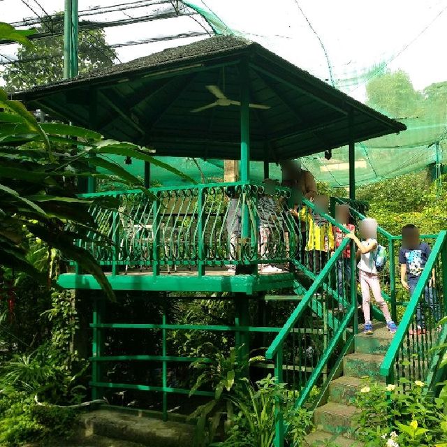 6,000 species at Butterfly Park Malaysia