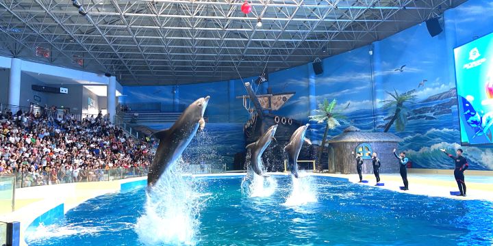 Zhoukou Aquarium