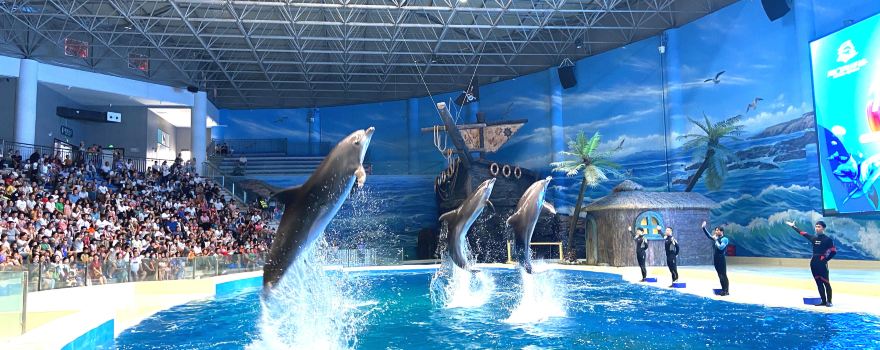 Zhoukou Aquarium