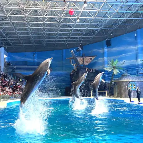周口海洋館