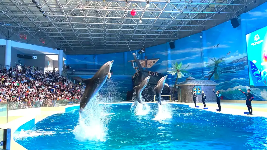 Hotels near Zhoukou Aquarium