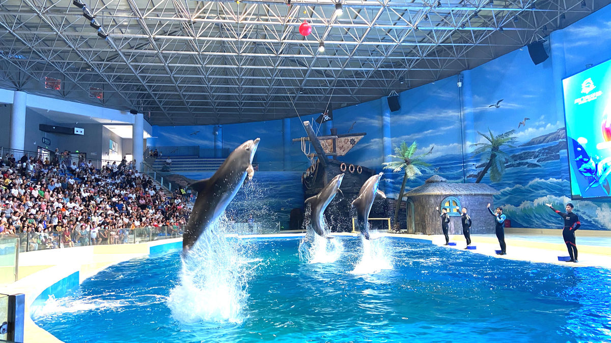 Zhoukou Aquarium