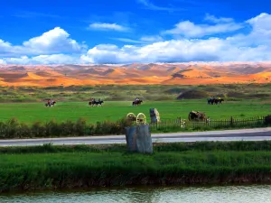 Tonghu Grassland Tourist Areas