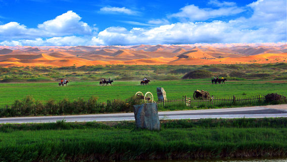 Tonghu Grassland Tourist Areas