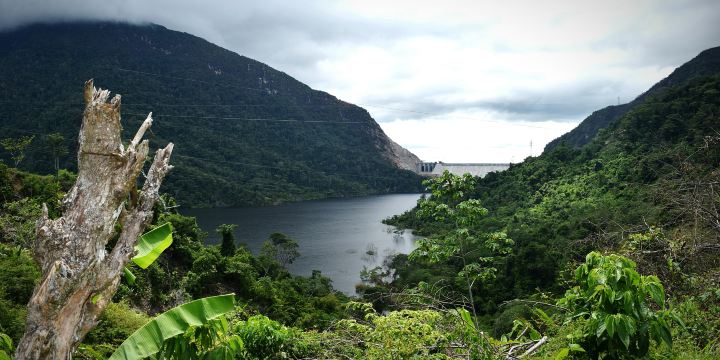 Percy Scenic Reserve