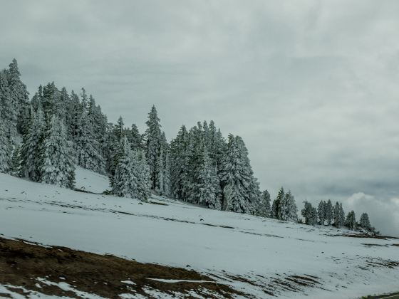 Shanglianggang Ski Resort