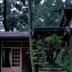 无漏秋山(素食餐厅) User Photo