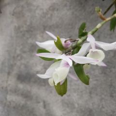 梅山庄园 User Photo