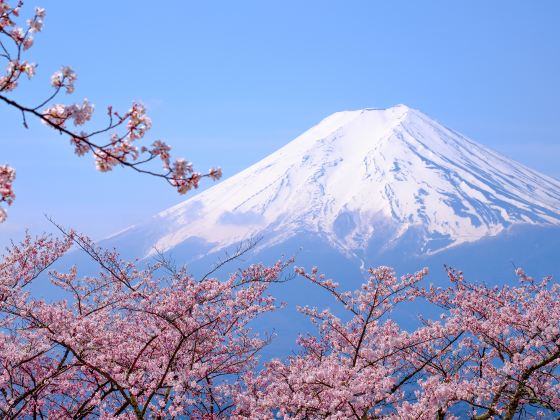 河口湖想像の森