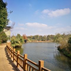 容南风景生态园 User Photo