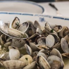 Trattoria del Pescatore User Photo