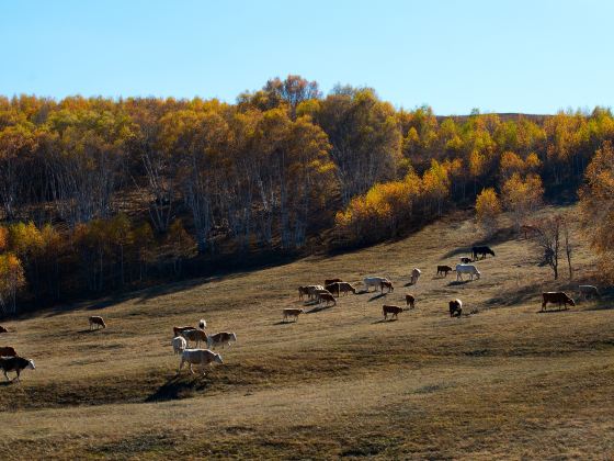 Hadamen Highlands Ranch