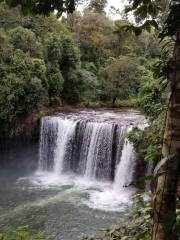 Bolaven-Plateau