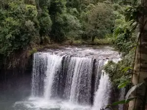 Bolaven-Plateau