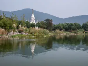 曼飛龍塔