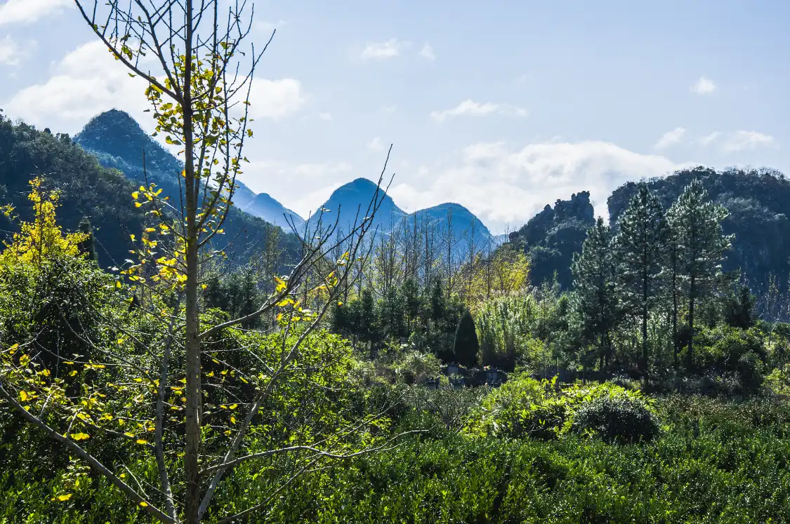 Hotels near Sishan Scenic Area
