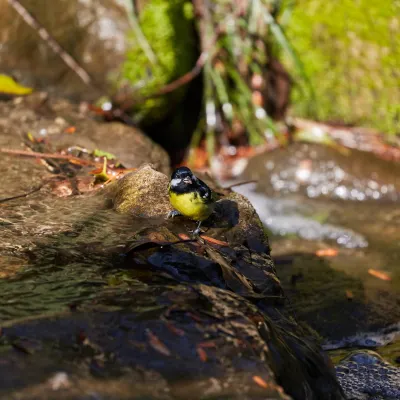 Бутик Отели в г. Симоносеки