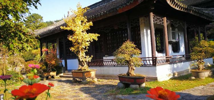 木子度假村自助餐厅