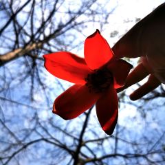 双溪茶室(南昆山店) User Photo