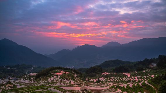 雲和梯田+古堰畫鄉+包車直達山頂隨停隨走/純玩無​​任何購物消費