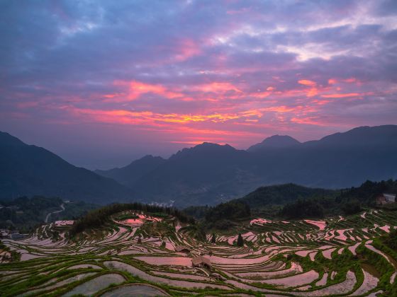 雲和梯田景區九曲雲環