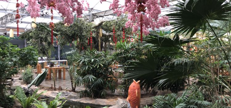 易縣燕宮大酒店·餐廳