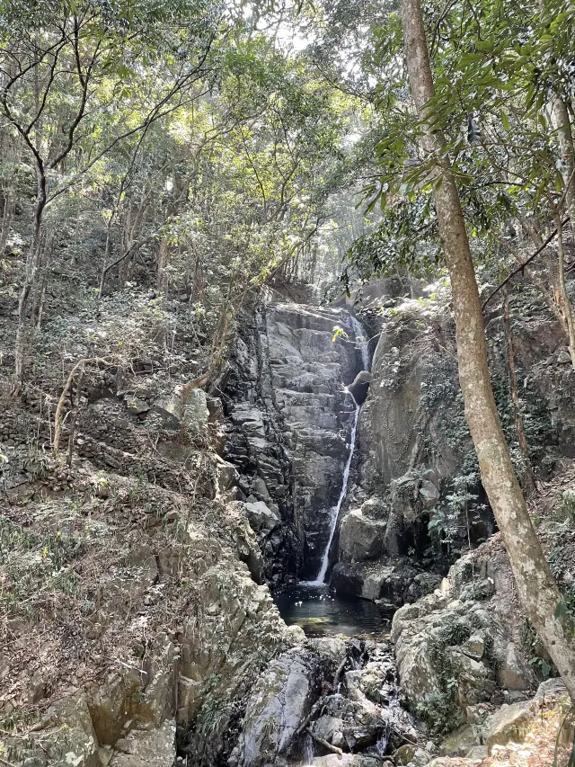 【瀑布健行】盤點六大香港瀑布 梧桐寨瀑布 瀑布灣公園 新娘潭瀑布 夏日消暑透心涼