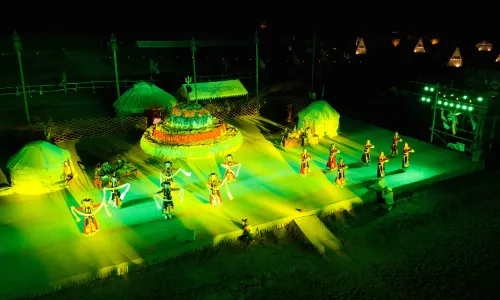 wu lan bu tong zhi ye