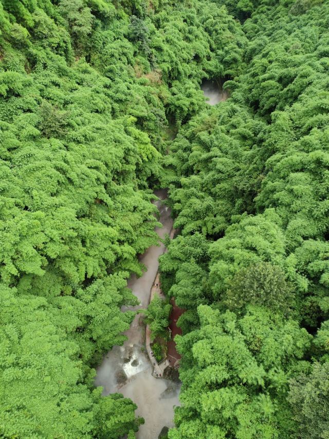 Bamboo Canyon Scenic Area (Jinji Valley)