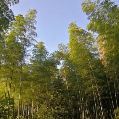 宜興竹海國際會議中心（竹海温泉）·中餐廳張用戶圖片
