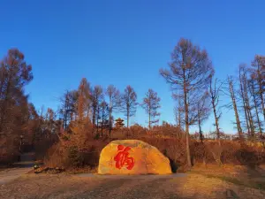Hegang National Forest Park