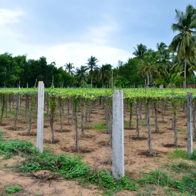 Somerset Greenways Chennai