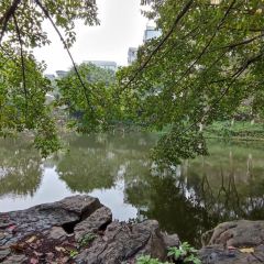 再说青年餐厅(西南大学店) User Photo