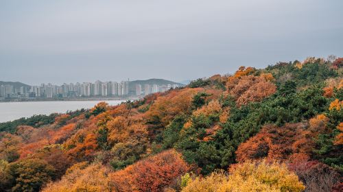 月尾島