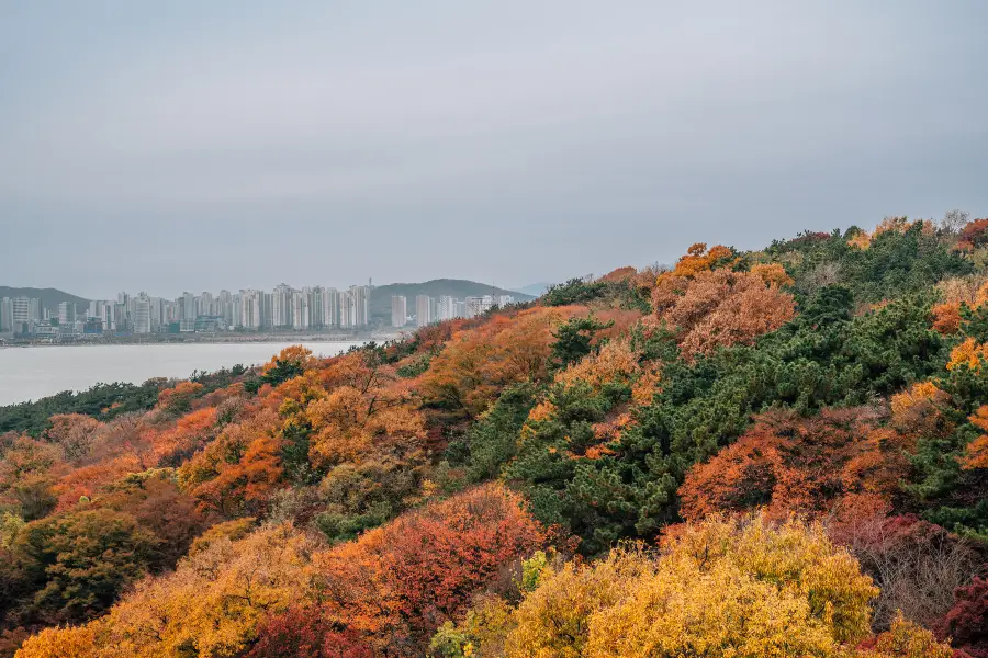 月尾島