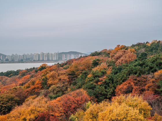 月尾島