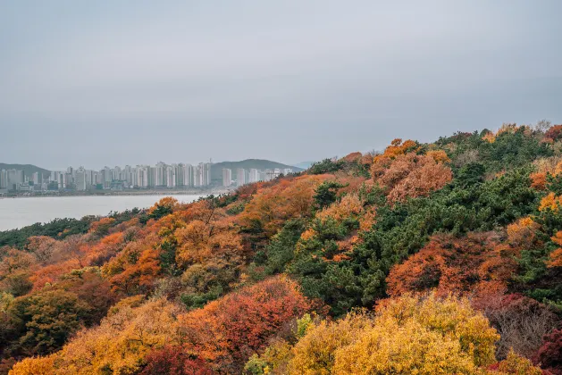 Khách Sạn 4 sao Ở Incheon