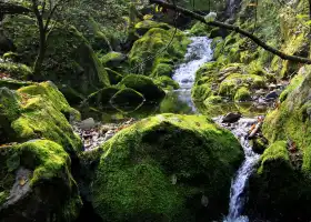 Niubeiliang Mountain Nature Reserve