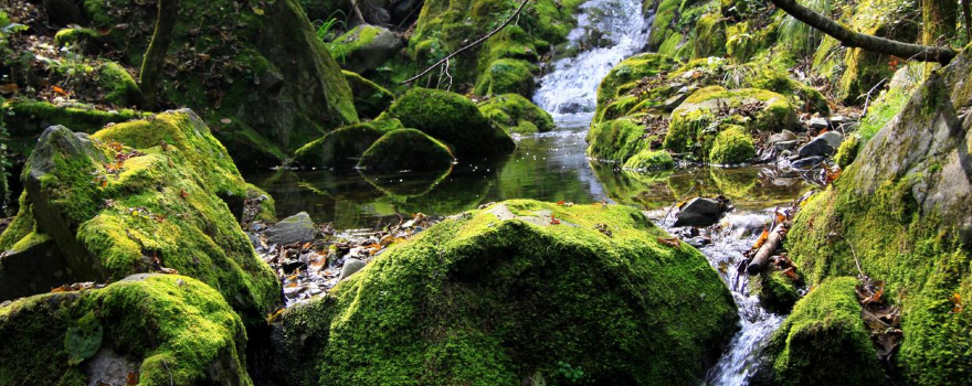 Niubeiliang National Nature Reserve of Shaa