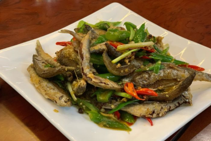 黃南武陽朗辣子雞（温泉店）