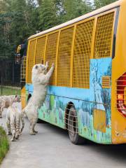 上海野生動物園-車入區