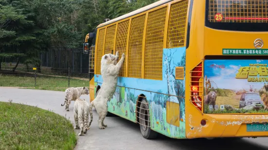 上海野生動物園-車入區