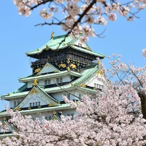 【大阪櫻花2024】🌸日本大阪櫻花季開花預測、必去大阪賞櫻景點🌸