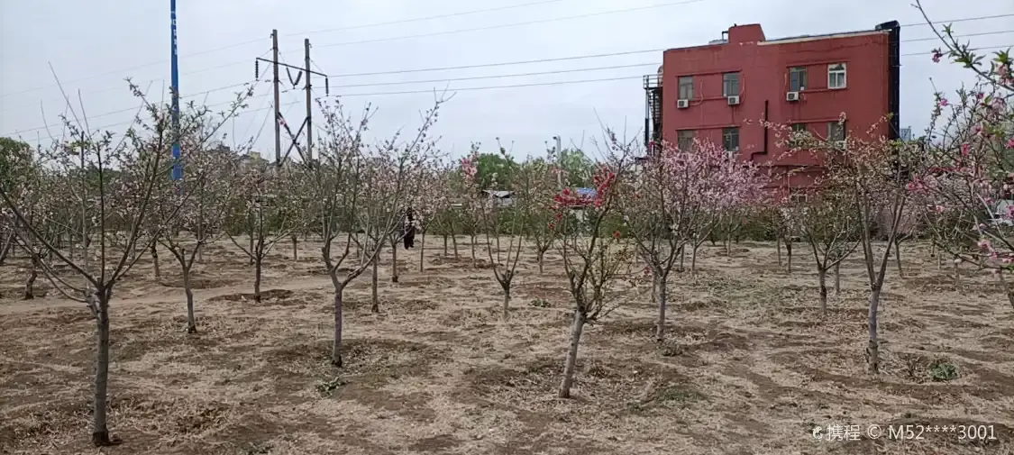 Nandian Park 주변 호텔