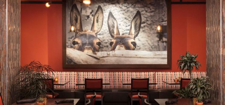 Spotted Donkey Cantina